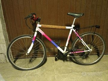 Bicicletta mountain bike