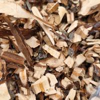 Cippatino di prunus per affumicatura