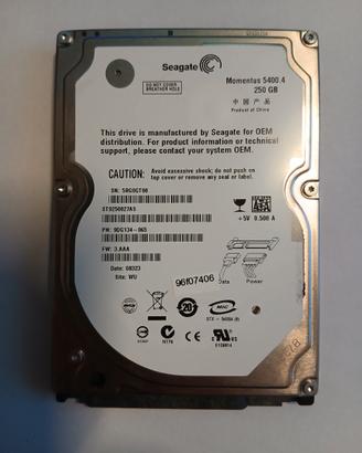 Hard disk Seagate 250gb