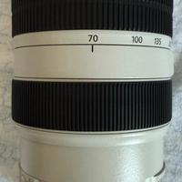Canon EF 70-300mm f/4-5.6L IS USM