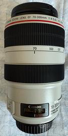 Canon EF 70-300mm f/4-5.6L IS USM