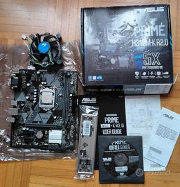 Scheda madre ASUS H310M-K R2.0 + i5-8500