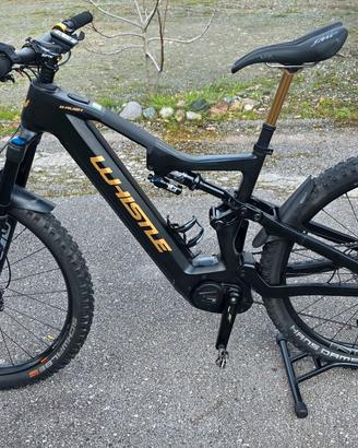 Whistle b-rush oryon 7.2