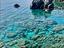 Immagine 3