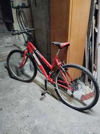 Due biciclette da donna montabile 