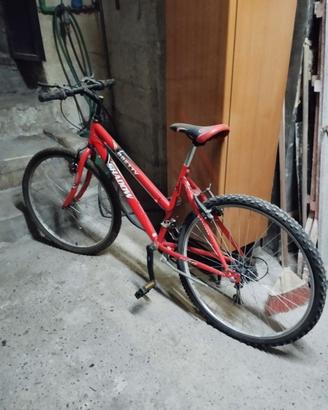 Due biciclette da donna montabile 