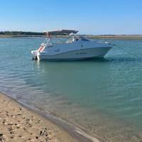 Quicksilver 610 Cruiser + carrello Ellebi