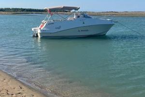 Quicksilver 610 Cruiser + carrello Ellebi