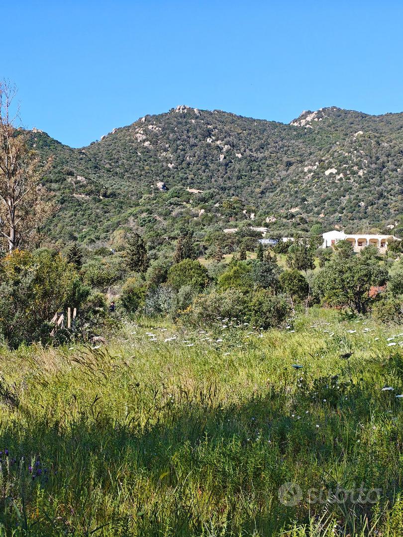 Terreno agricolo a Villasimius - Vista 3