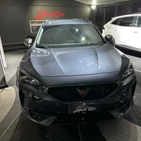 Cupra Formentor 2.0 TDI 4Drive DSG