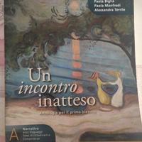 UN INCONTRO INATTESO