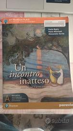 UN INCONTRO INATTESO