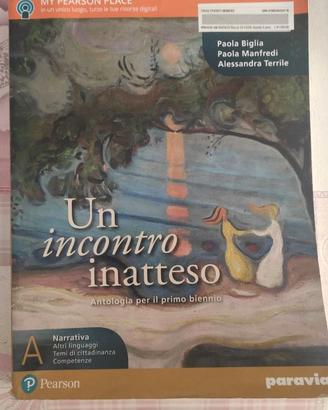 UN INCONTRO INATTESO