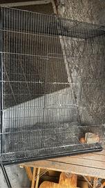 Gabbia per uccelli