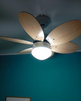 ventola a soffitto 