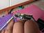 Immagine 4