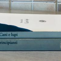 Lotto libri Marco Lodoli