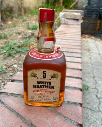 White Heather 5 Years Old