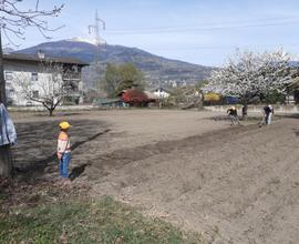 Terreno edificabile