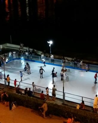 Pista di pattinaggio in ghiaccio sintetico