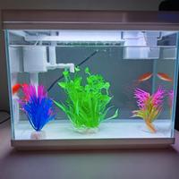 Acquario pesci