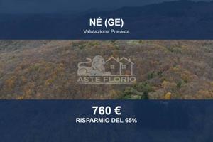 Immobile in asta di 2480 m² a Ne