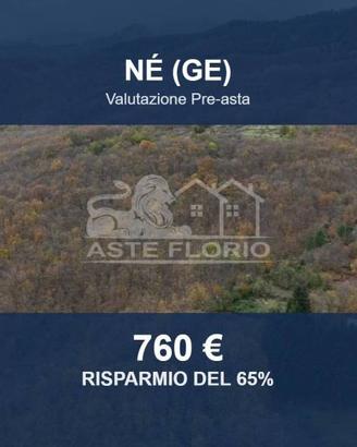 Immobile in asta di 2480 m² a Ne