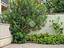 Immagine 26