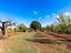 Immagine 17