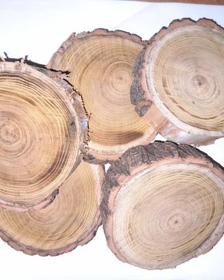Dischi/rotelle in legno 