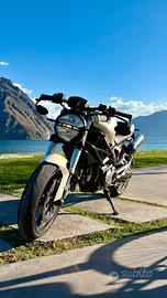 Ducati Monster 696+ A2 a libretto + Termignoni