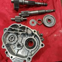 coperchio ingranaggi honda sh300 2013