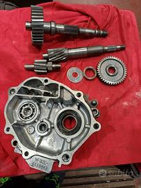 coperchio ingranaggi honda sh300 2013