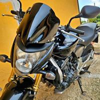 Honda hornet 600 2009