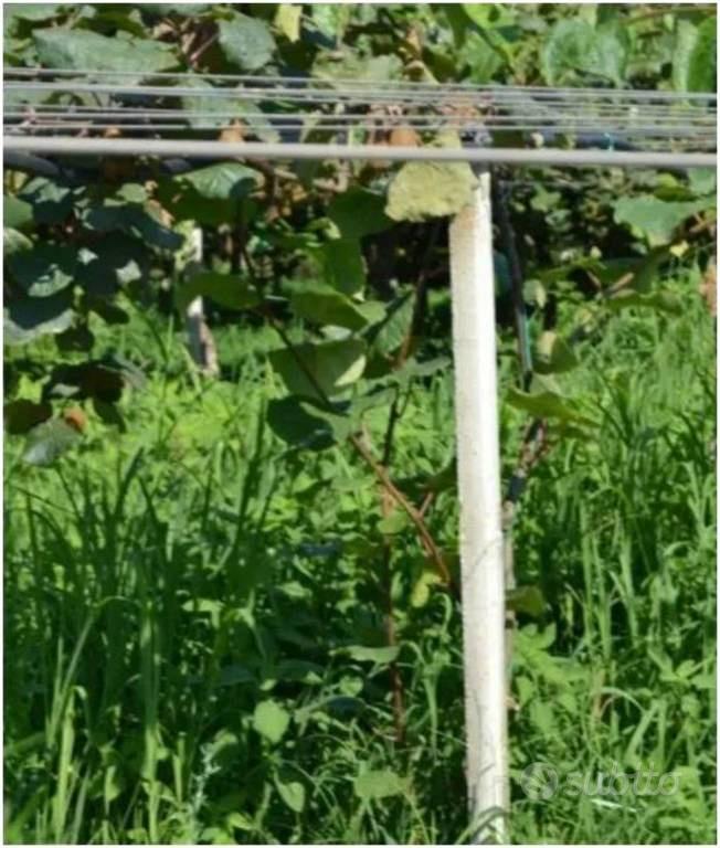 Immobile in asta di 6620 m² a Cittanova - Vista 3