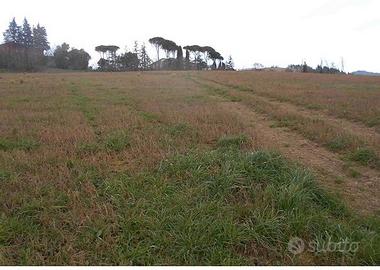 RGE 87/2024 - Tribunale di Urbino