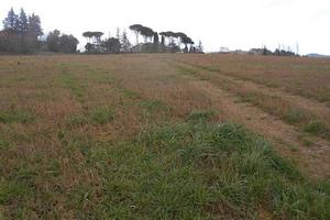 RGE 87/2024 - Tribunale di Urbino