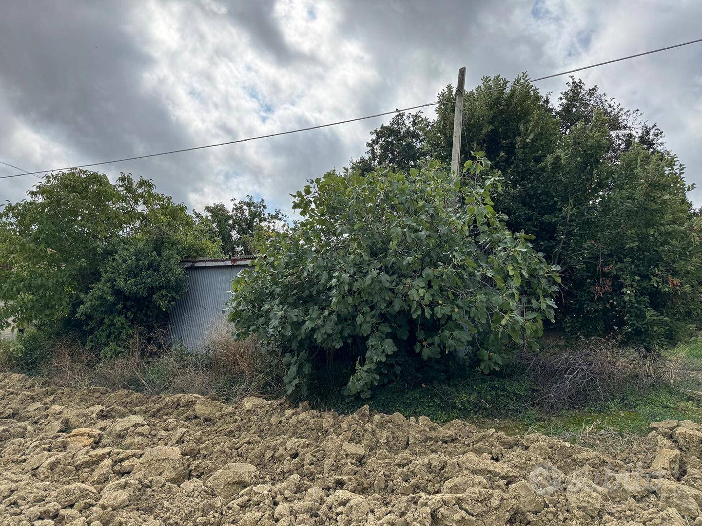 Terreno - Fermo - Vista 4