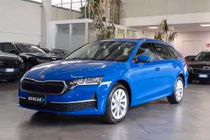 Skoda Octavia Wagon 2.0 tdi Executive 150cv dsg