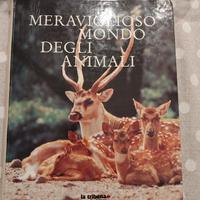 libro animali