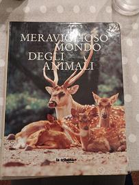 libro animali