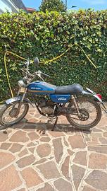 Moto guzzi nibbio 50