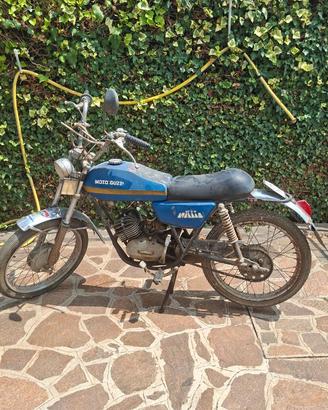 Moto guzzi nibbio 50