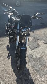 benelli leoncino trail 500