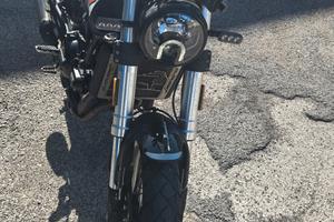 benelli leoncino trail 500