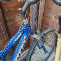 bici Mountain bike 