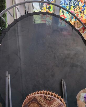 Saltarello gigante