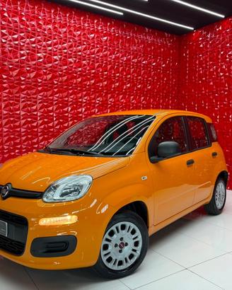 Fiat Panda 1.2 Pop OK NEOPATENTATI