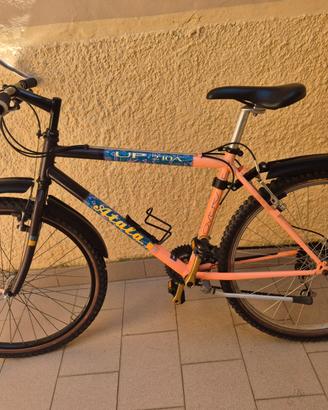 lotto 3 biciclette