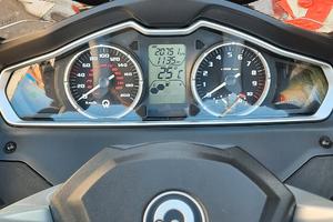 Qooder Qooder - 2019